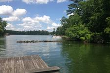 Waterfront land surrounded by trees